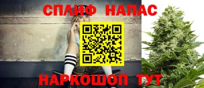 бошки Гагарин