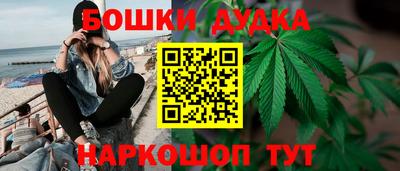 бошки Гагарин