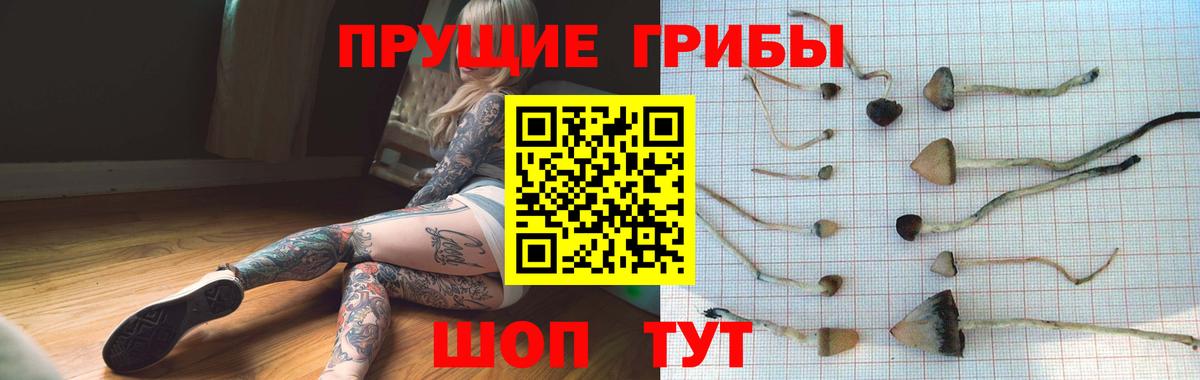 Галлюциногенные грибы мухоморы Ликино-Дулёво